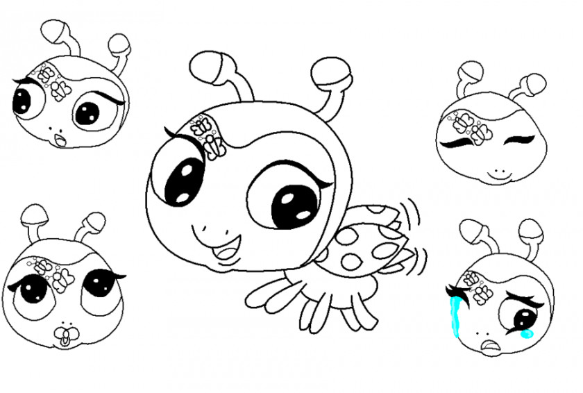 Ladybug Outline Drawing Sketch PNG