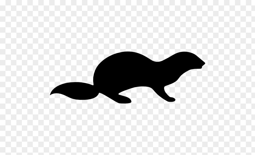 Otter PNG