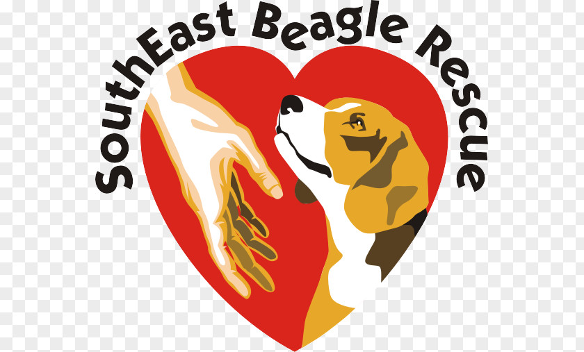 Puppy Pocket Beagle Basset Hound Dachshund PNG