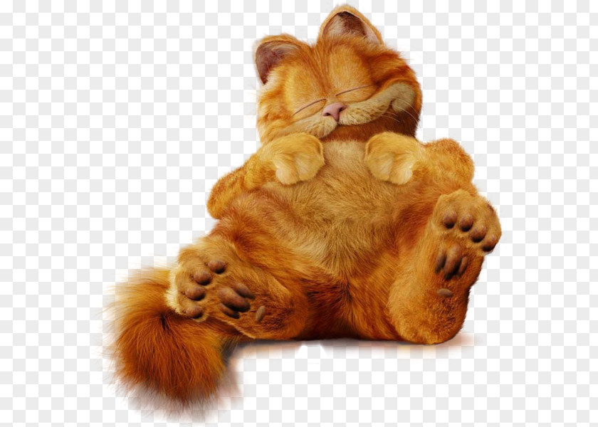 Cat Odie A Week Of Garfield Minus PNG
