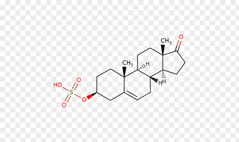 Dehydroepiandrosterone Chemical Compound 5α-Reductase Androstenedione Androstane PNG