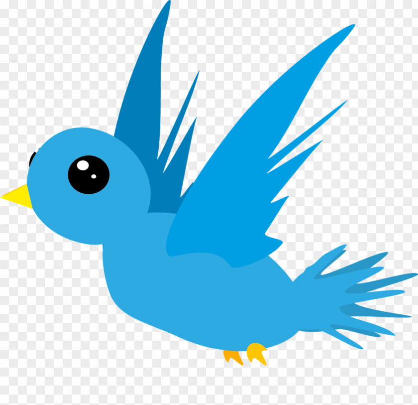 Love Birds Bird Animation Clip Art PNG