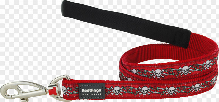 Skull Rose Leash Dog Dingo Collar Lead PNG