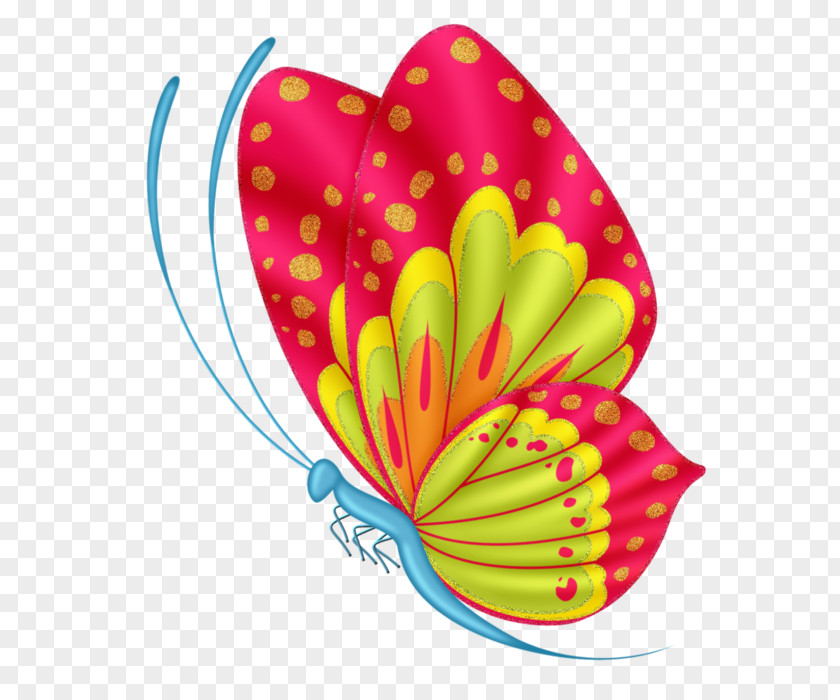 Butterfly Clip Art Vector Graphics Desktop Wallpaper PNG