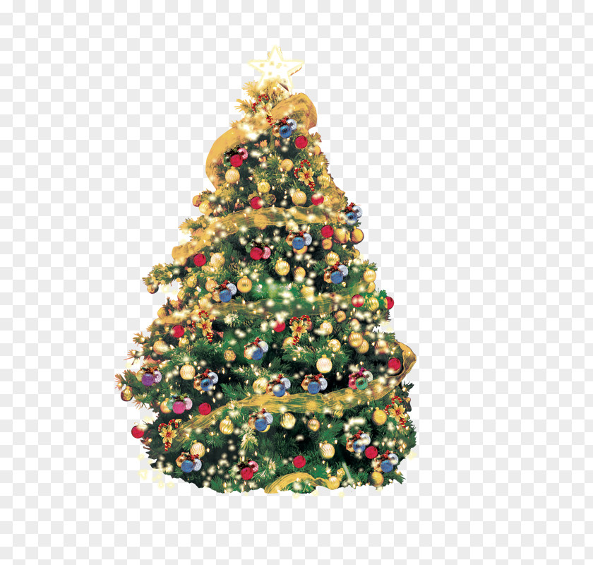 Behind Christmas Tree Artificial Greeting Card PNG