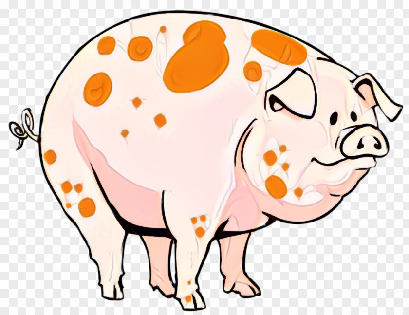 Domestic Pig Clip Art Illustration Cartoon PNG