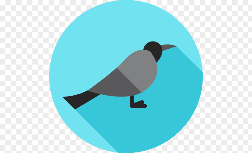 Flat Bird PNG