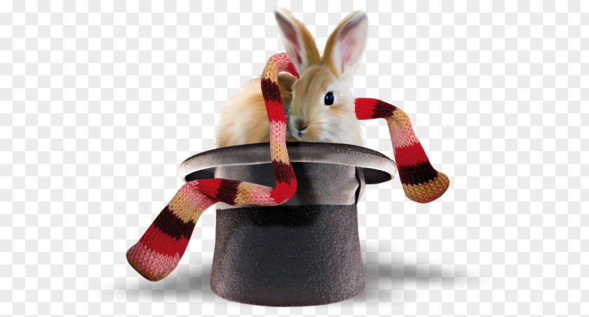 Hat Rabbit European Leporids Scarf PNG