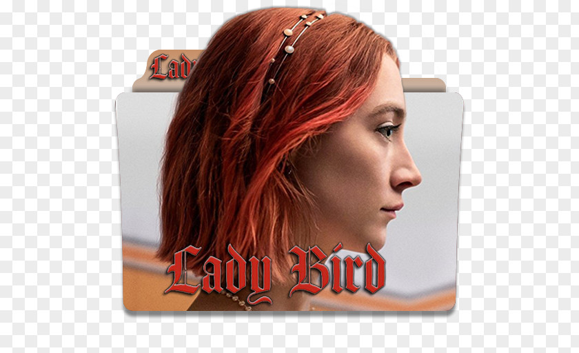 Lady Bird Film Criticism Academy Award For Best Picture Actor PNG