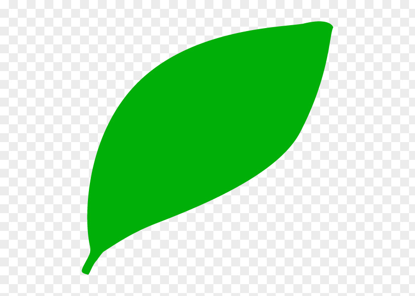 Leaf Illustration Graphics Plants Product Design PNG