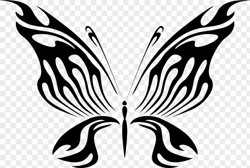 Fly Clipart Butterfly Drawing Line Art Clip PNG
