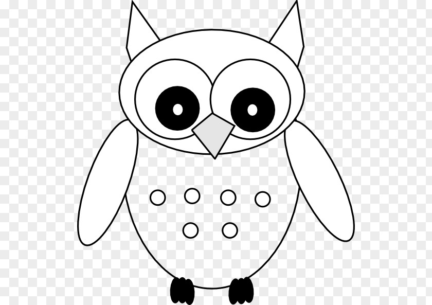 O The Owl Snout Line Art Beak Clip PNG