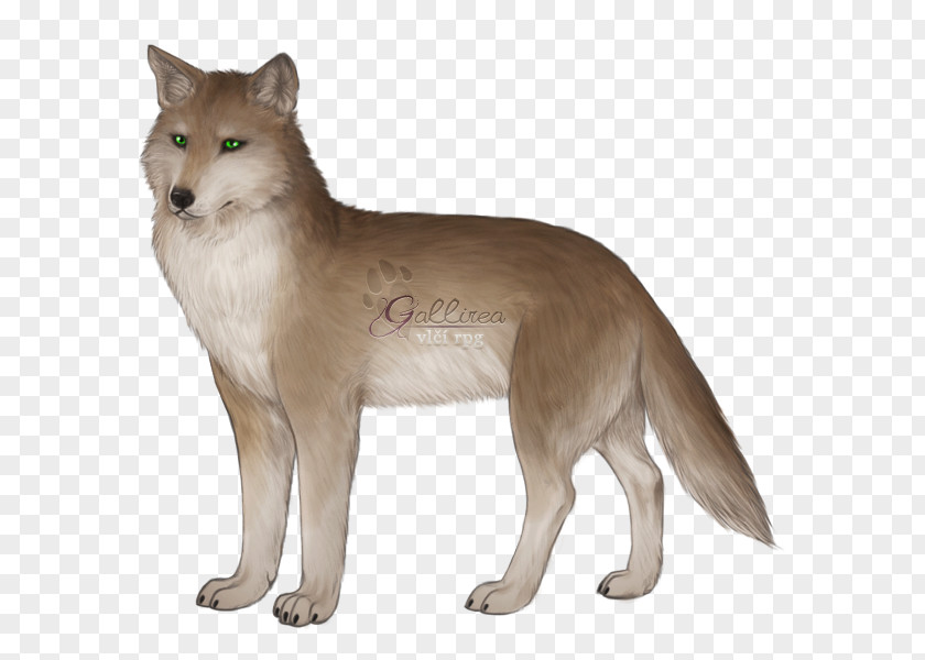 Shea Saarloos Wolfdog Red Fox Coyote Thylacine 3D Computer Graphics PNG