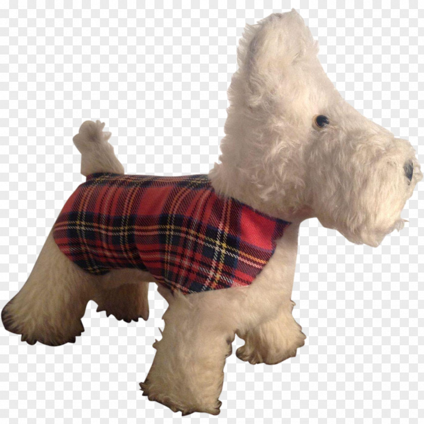 West Highland White Terrier Scottish Dog Breed Snout PNG