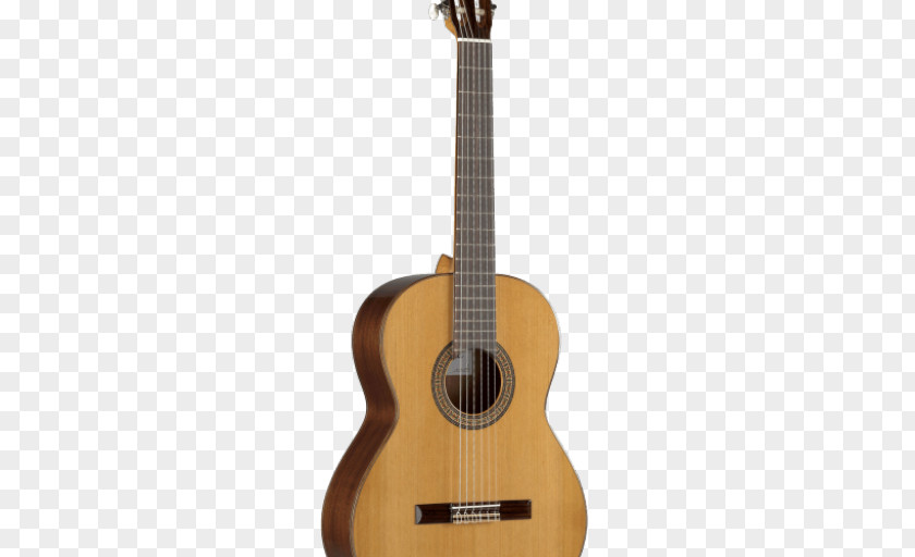 3c Digital Acoustic Guitar Eko Guitars Musical Instruments Gypsy Jazz PNG