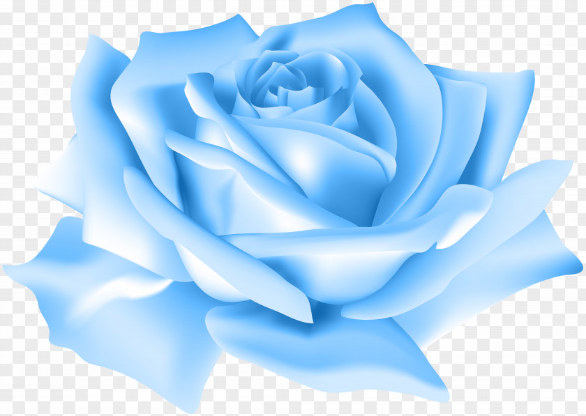 Blue Rose Flower Clip Art Image Beach PNG