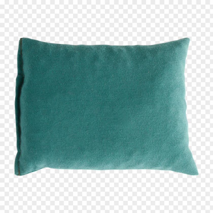 Coffee Bean Alphabet Cushion Throw Pillows Turquoise Rectangle PNG