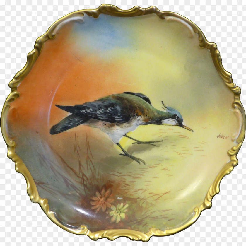 Exquisite Hand-painted Painting Beak PNG
