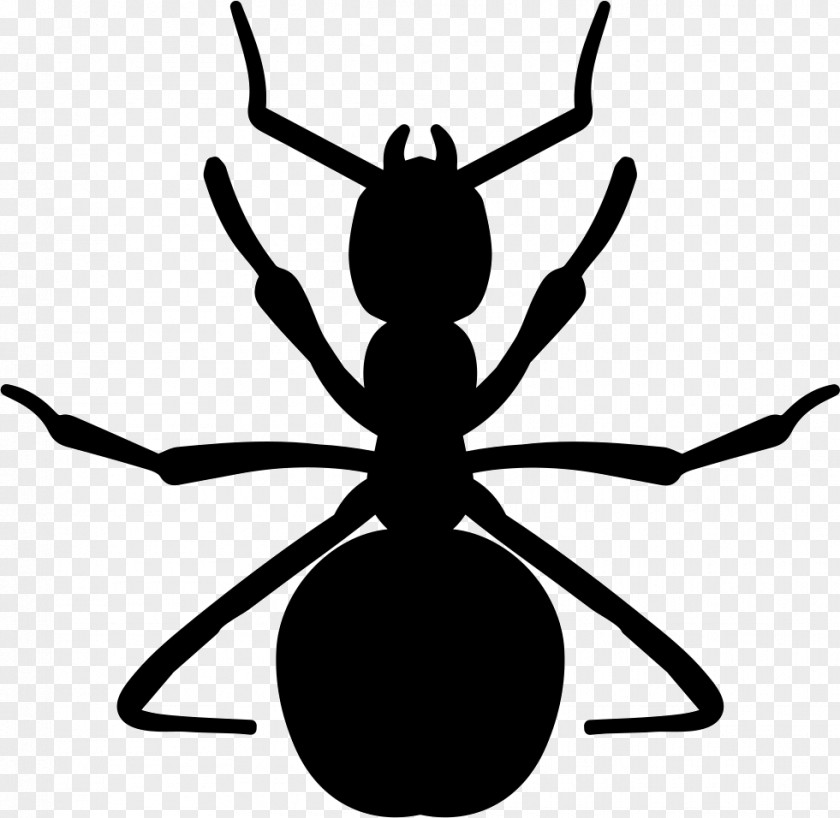 Insect Clip Art Ant Arthropod Vector Graphics PNG