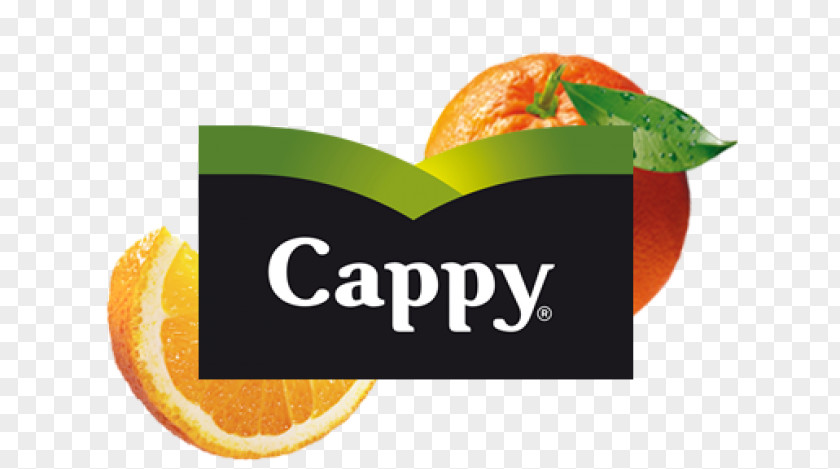 Orange Juice Cappy The Coca-Cola Company Food PNG