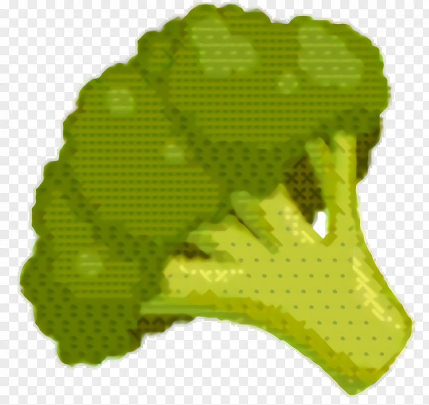 Plant Broccoli Green Grass Background PNG