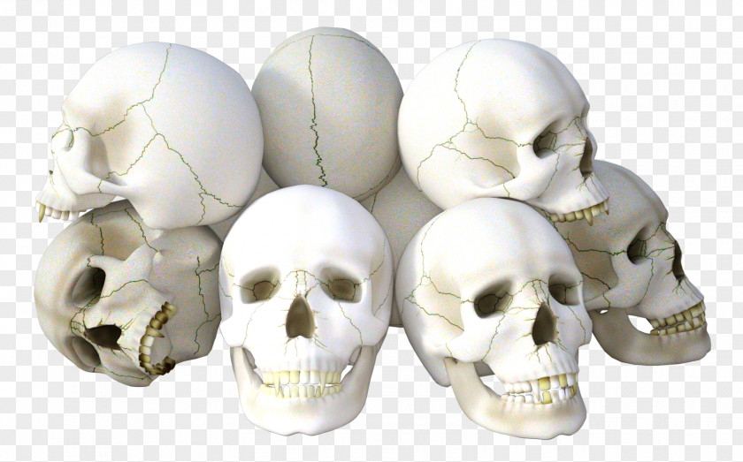 Skull Icon PNG