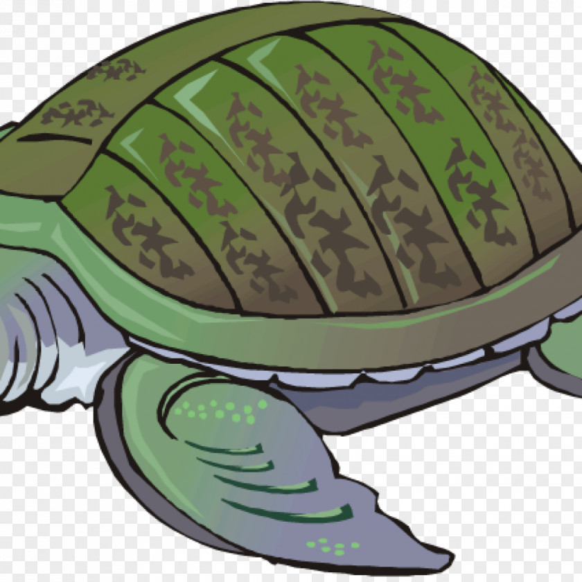 Turtle Shell Ninja Turtles Green Sea Clip Art Tortoise PNG