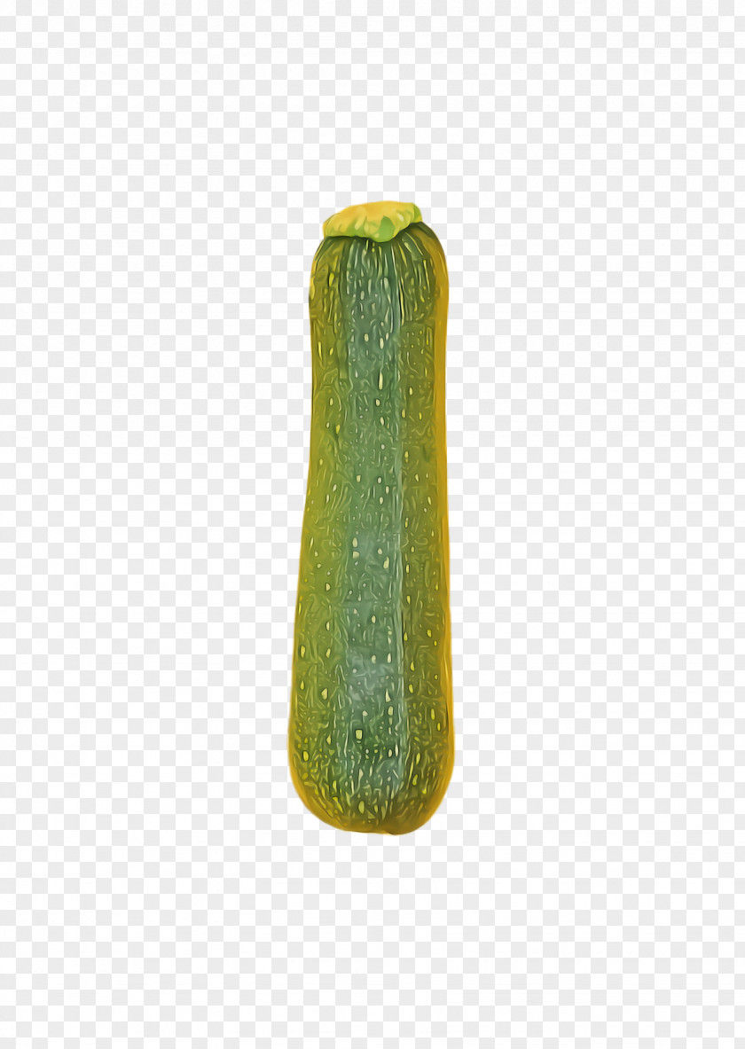 Cucumber Plant Green Yellow Zucchini Vegetable PNG