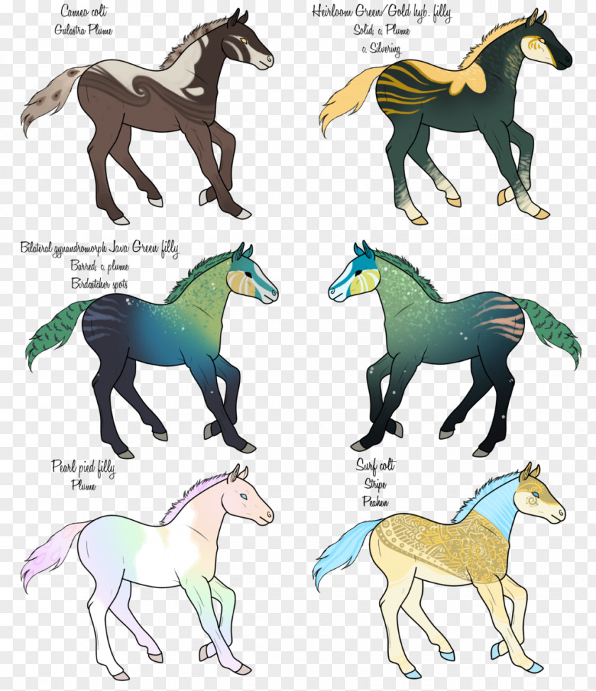 Drawings Of Sunken Treasure Mustang Stallion Pack Animal Horse Tack Illustration PNG