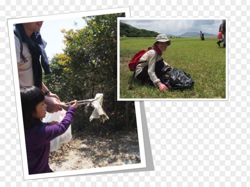 Earth Volunteering Green Recreation Group PNG