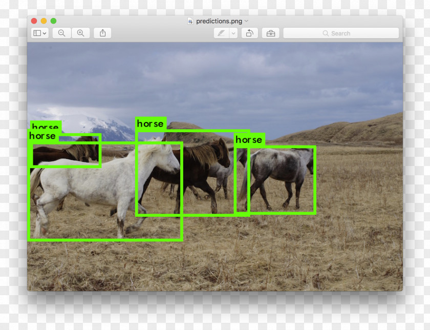 Prompt Box Object Detection Real-time Computing YOLO PNG