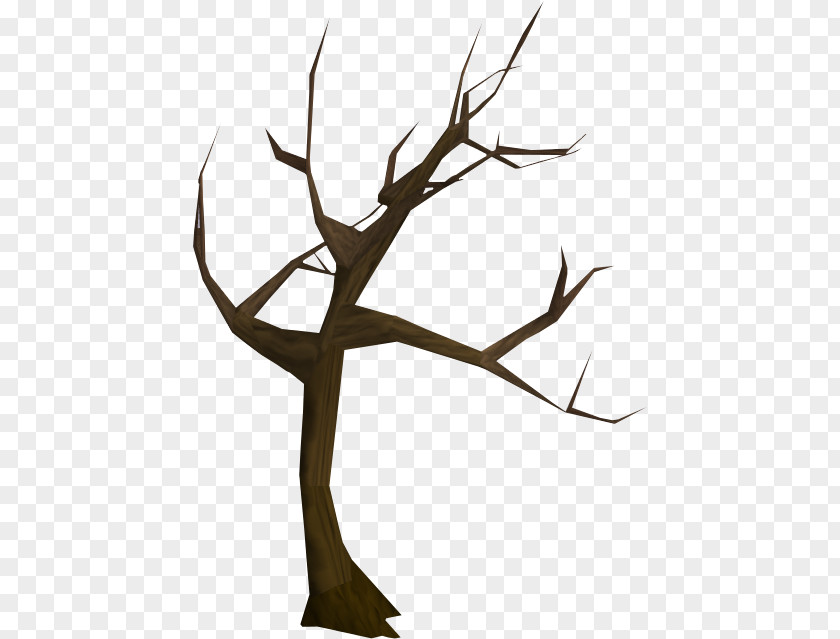 Stanford Tree Wikia Twig RuneScape PNG