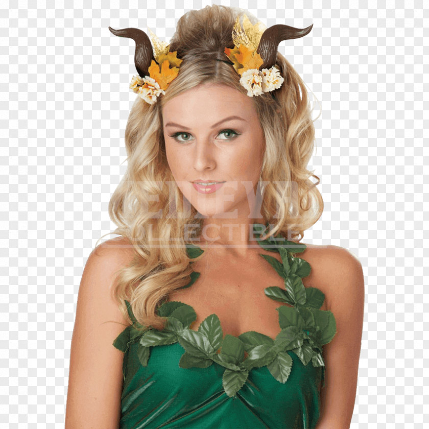 Fairy Halloween Costume Clothing Accessories PNG