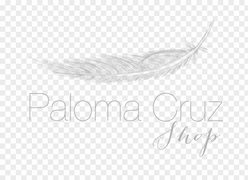 Feather White Quill Corp PNG