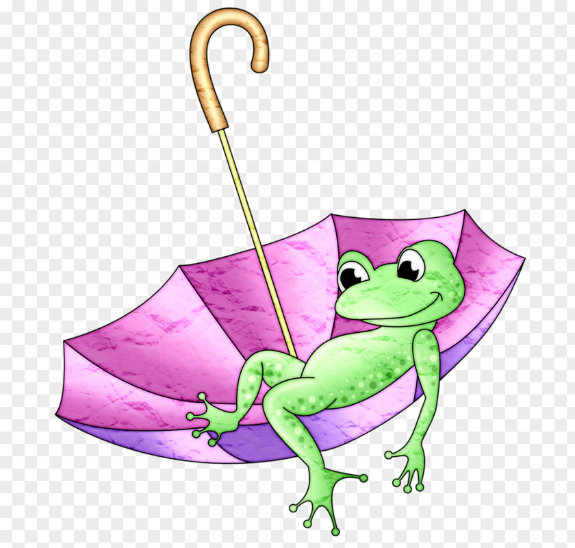 Frog On Umbrella Tree PNG