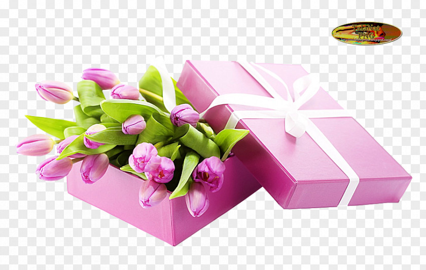 Gift Tulip Birthday Cut Flowers PNG