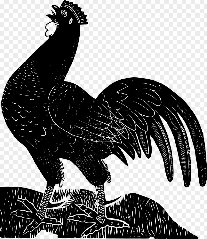 Godzilla Ayam Cemani Leghorn Chicken Rooster Poultry Farming Clip Art PNG