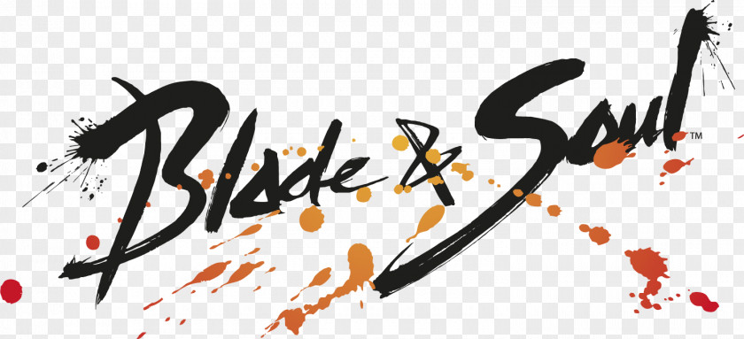 Guidance Blade & Soul Massively Multiplayer Online Role-playing Game Video PNG