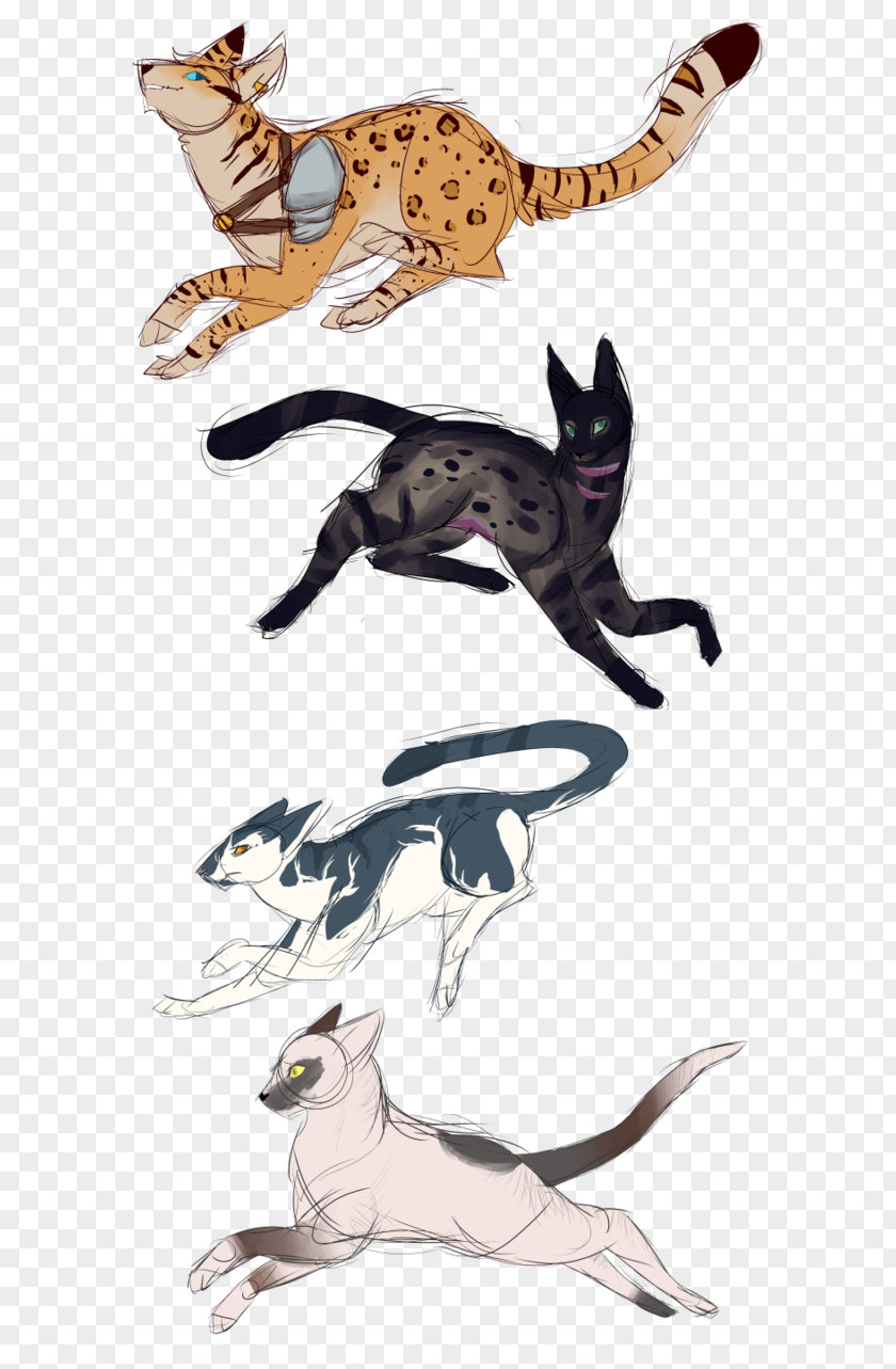 Newcomers Cat Velociraptor Horse Claw Mammal PNG