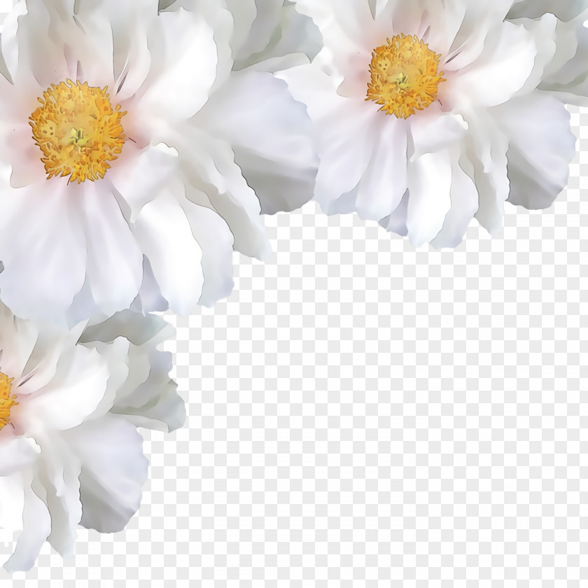 Rose PNG