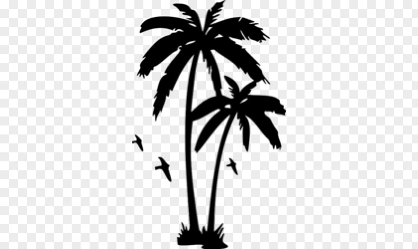 Tree Wall Decal Arecaceae PNG