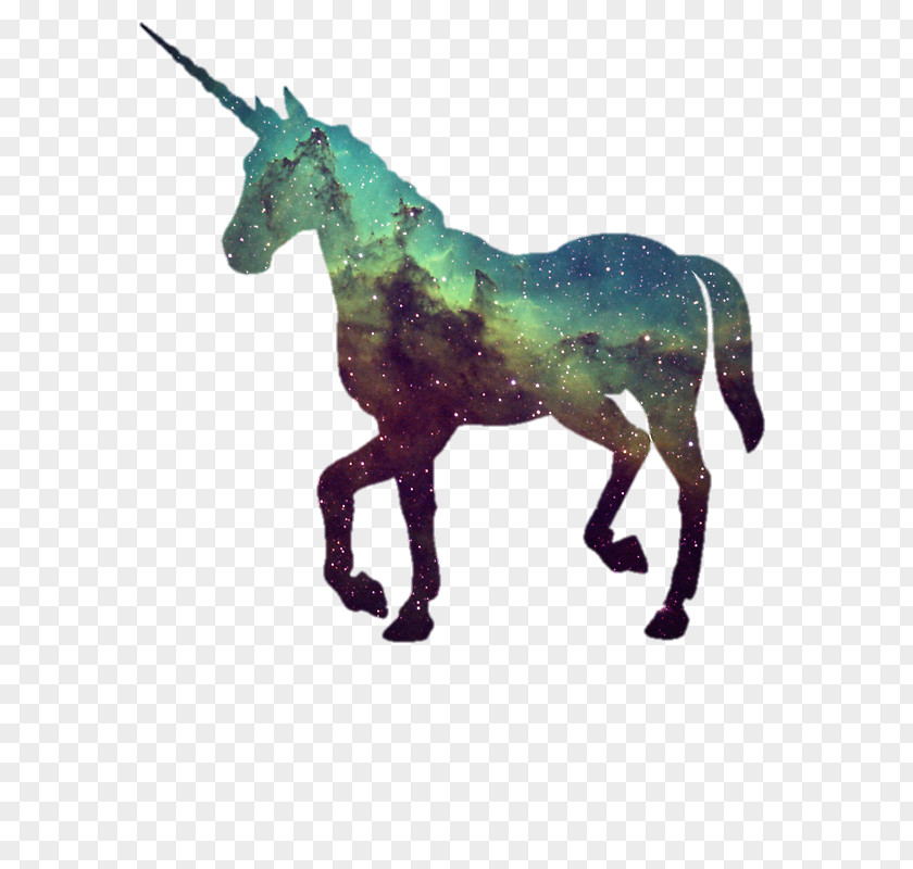 Unicorn Wallpaper Iphone Party The Hunt Of Image T-shirt PNG