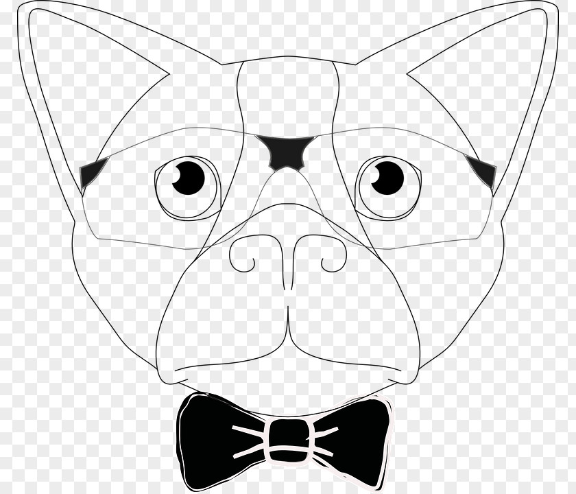 Cat Whiskers Dog Breed Vector Graphics PNG