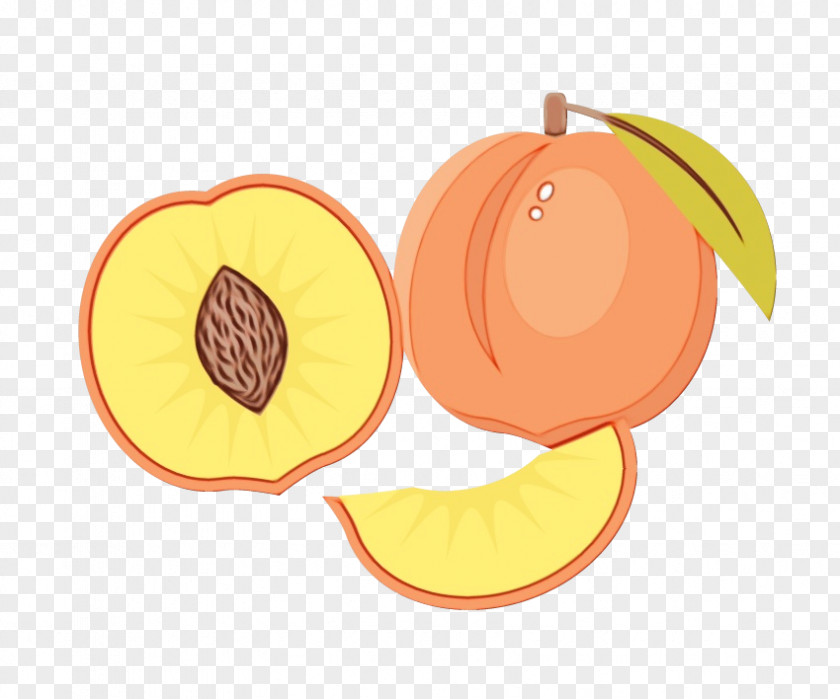 Grapefruit Plant Orange PNG