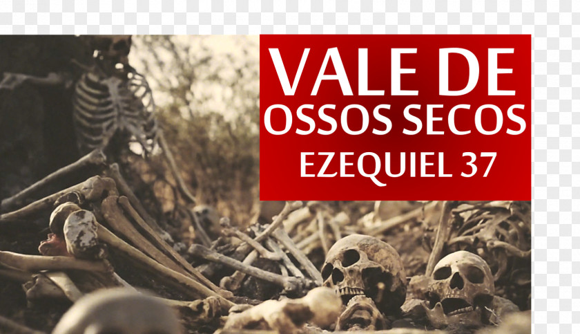 Imagens Em Tumblr Bone Bible Ezekiel 37 God Prophecy PNG