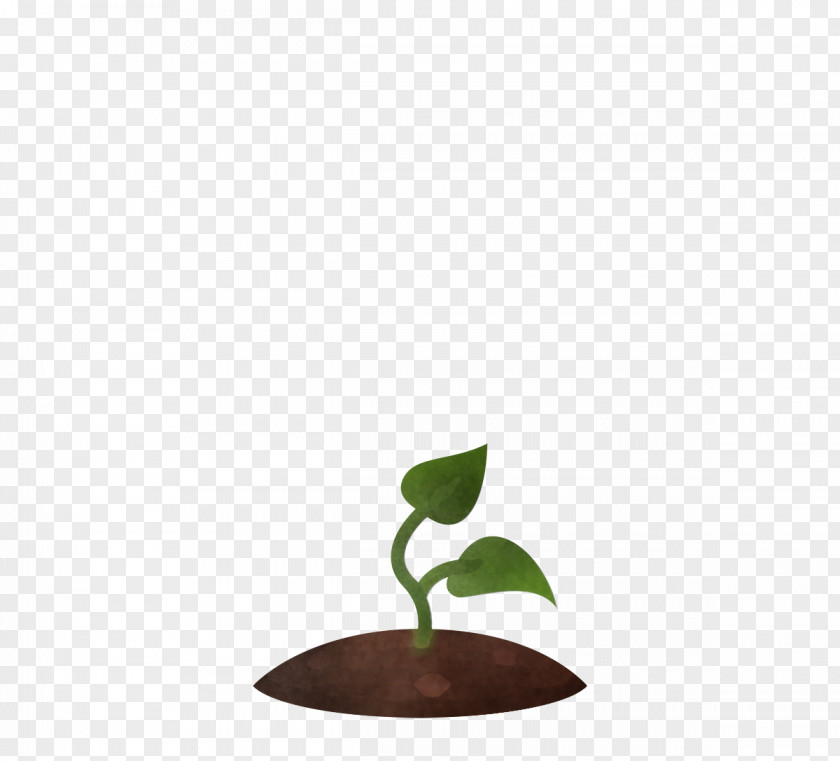 Leaf Flowerpot Tree Science Plant Structure PNG