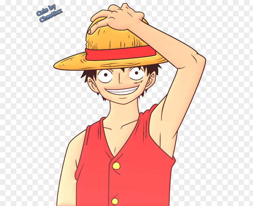 One Piece Monkey D. Luffy Character PNG