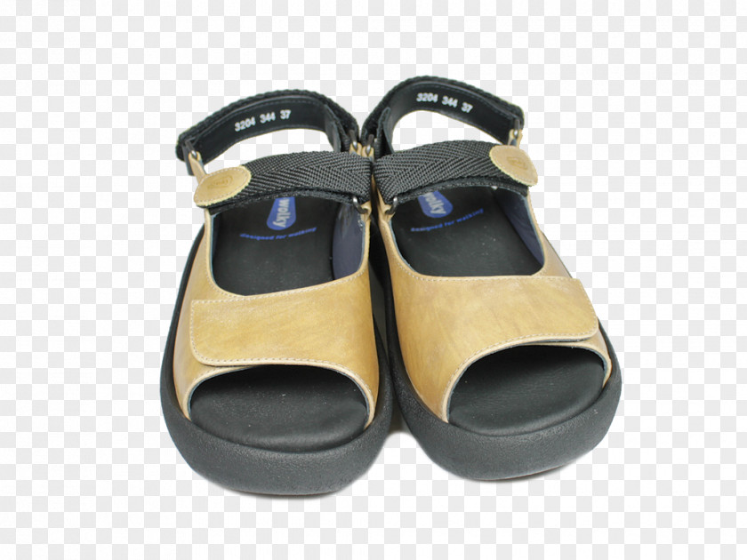 Sandal Shoe PNG