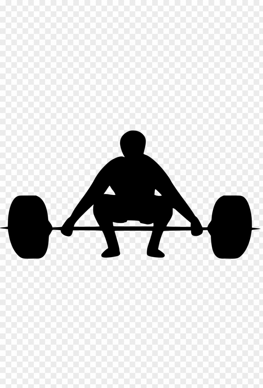 Summer Workout Body Plan Olympic Weightlifting Weight Training Exercise Vector Graphics PNG