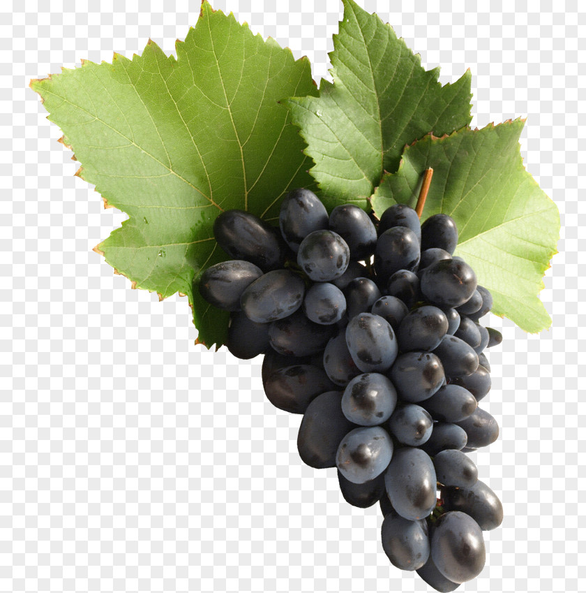 White Wine Common Grape Vine Must Fruit PNG